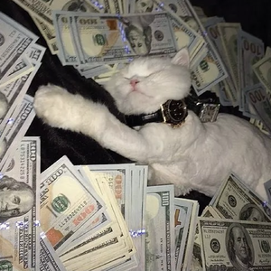 最新版韩国AV影片
