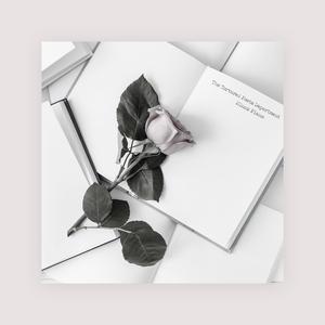 最新版韩国AV影片
