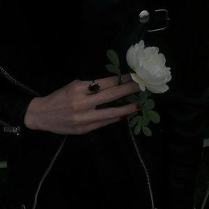 最新版韩国AV影片
