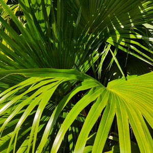 最新版韩国AV影片
